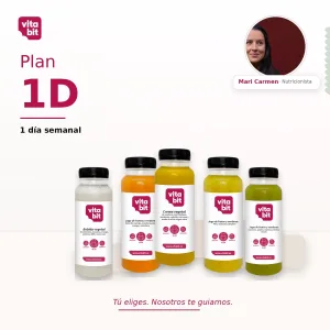 Plan 1 Día